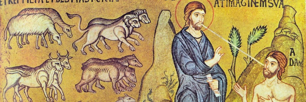 Is animal death a consequence of original&nbsp;sin?