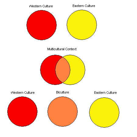 Identity in Multicultural&nbsp;Contexts