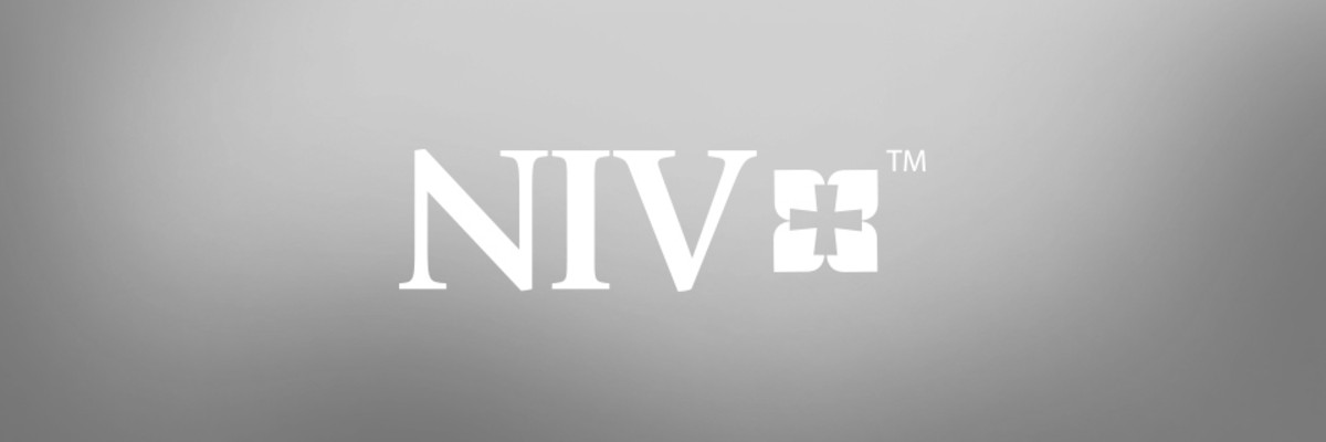 The NIV gender bender