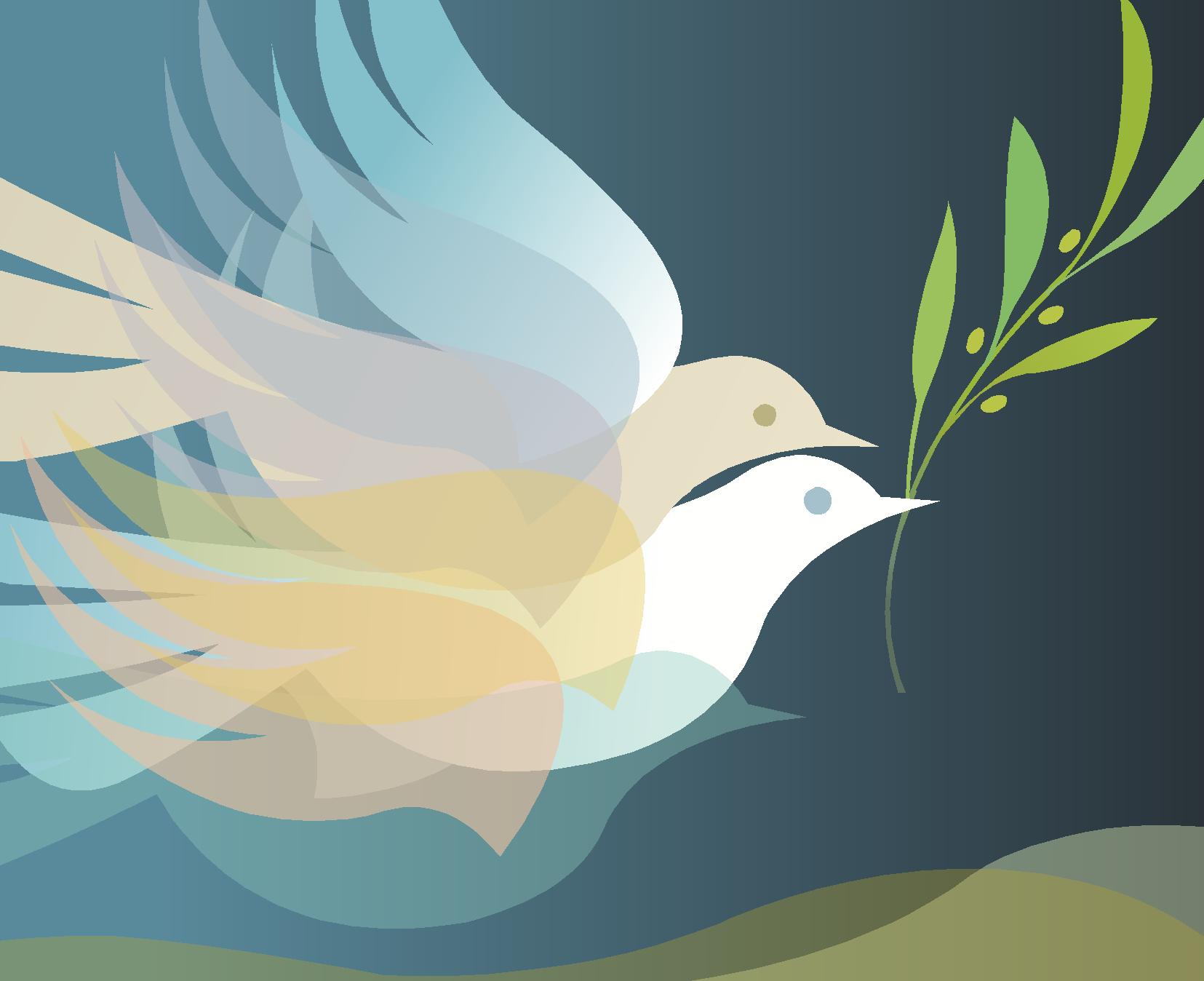 AAANZ Sydney Event – What Would Happen if We Really Tried Nonviolence?