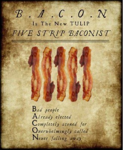 Is BACON the new&nbsp;TULIP?