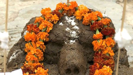 Sacred Shit: Witnessing the Cow Dung&nbsp;Puja