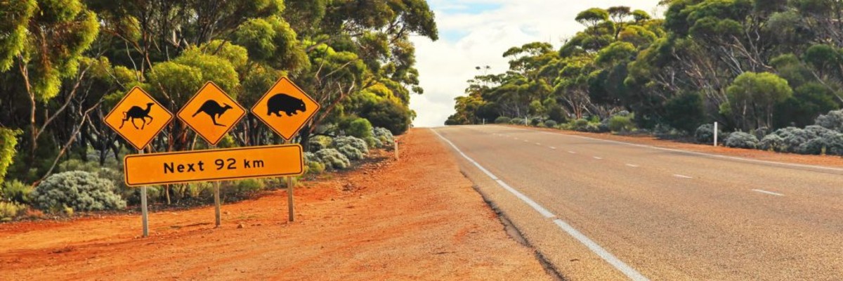 The Australian Soul