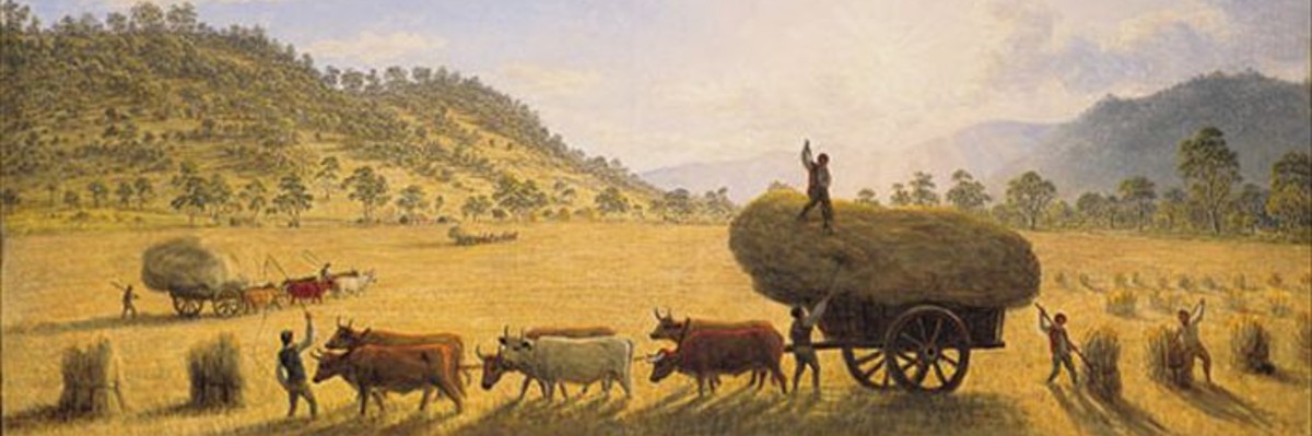 What is distinctive about Australian art?