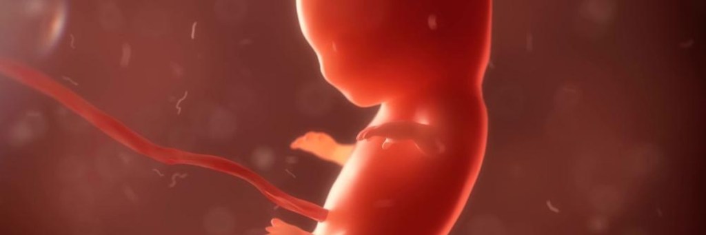 Abortion: are you “for babies” or “for&nbsp;women”?