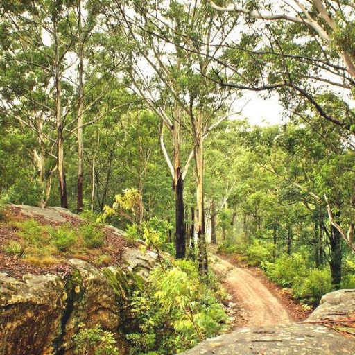 A Blessing from the Northumbria&nbsp;Community