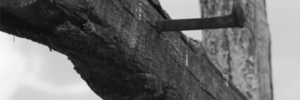 The Tree for the Cross: A Poem by Colin&nbsp;Moffett