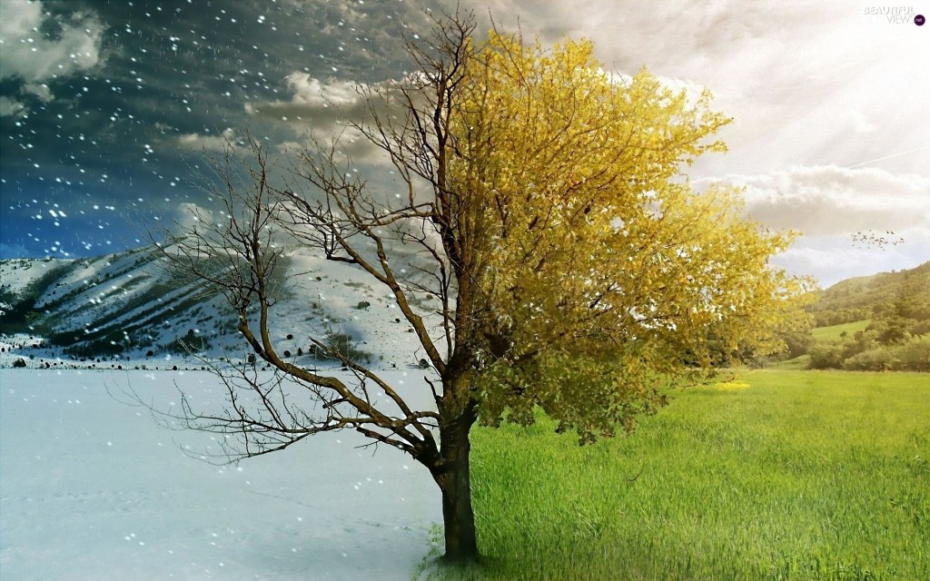 Haiku: The Rhythms of&nbsp;Life