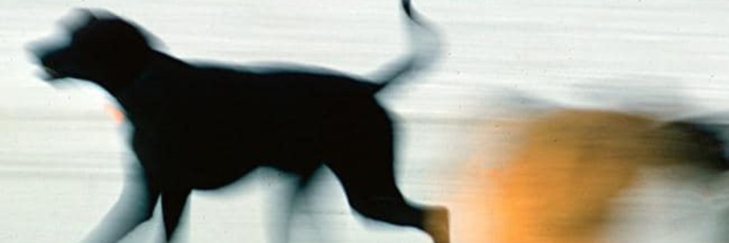 Prayer against the&nbsp;darkness