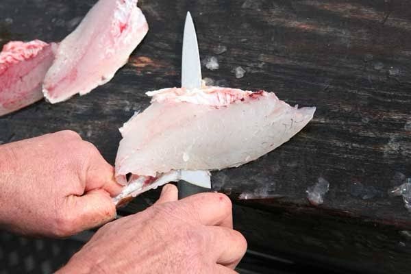Skinning the fish before you’ve caught it