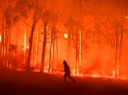 Good News amid the&nbsp;Flames