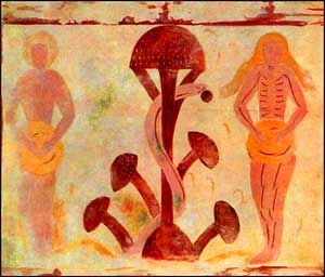 Tripping and Falling: The Magic Mushroom as the Forbidden&nbsp;Fruit