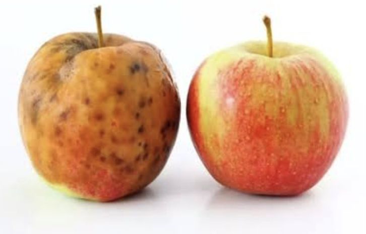 What Do the Fruits of Our Ministry Complaints Processes&nbsp;Reveal?
