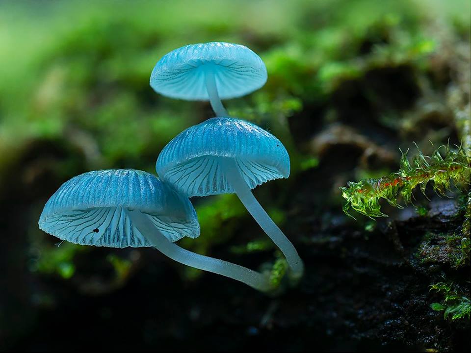 A Participatory Christian Metaphysics: God, Creation, and the Relational Nature of Reality