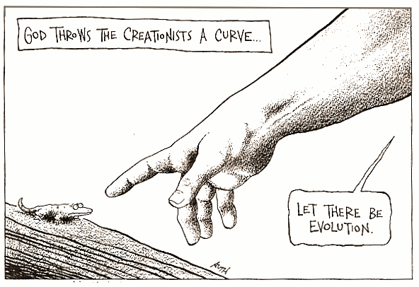 Evolution, Genesis, and the Choice