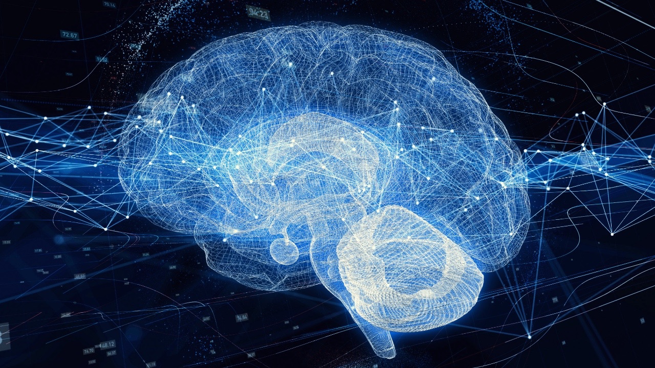 Between Order and Chaos: Consciousness, AI and Creation